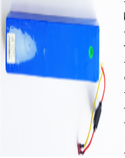 Batterie Booster V - 36V 10,5Ah